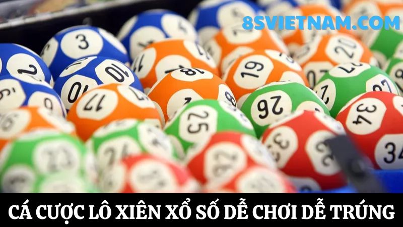 Cá cược xổ số 8s lô xiên 